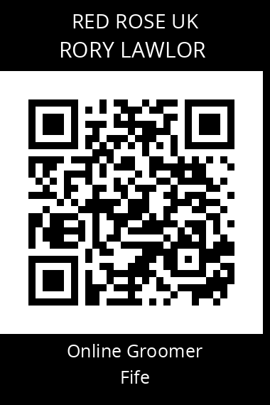 QR code for rory-lawlor