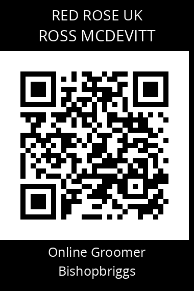 QR code for ross-mcdevitt