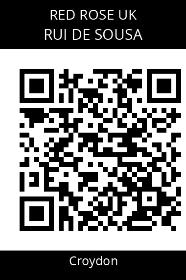 QR code for rui-de-sousa-d88fvb