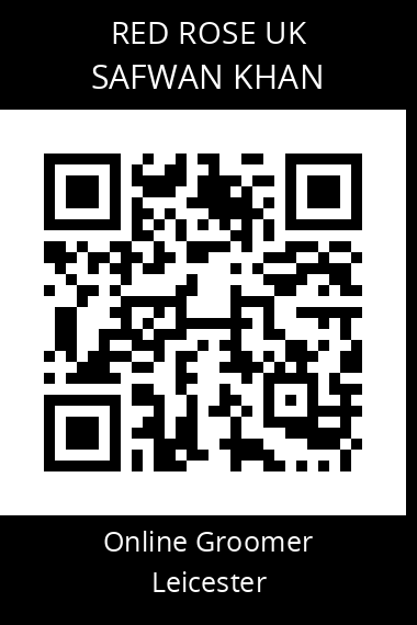 QR code for safwan-khan
