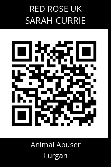 QR code for sarah-currie