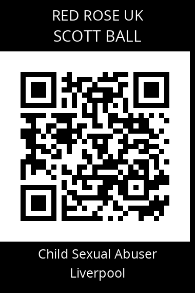 QR code for scott-ball