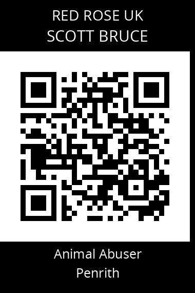QR code for scott-bruce