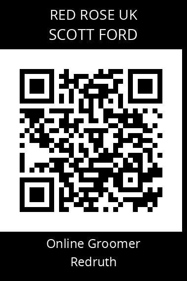 QR code for scott-ford