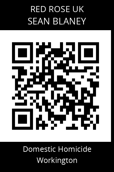 QR code for sean-blaney