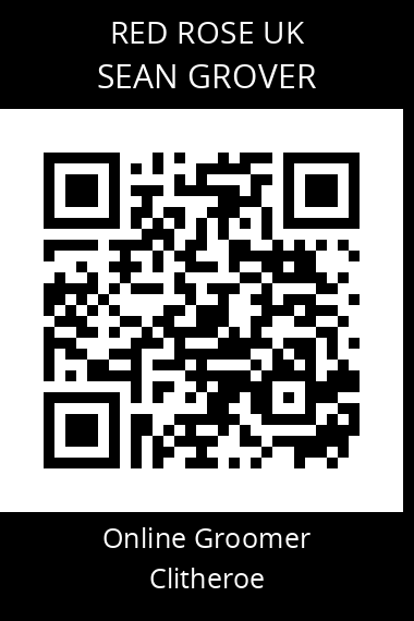 QR code for sean-grover