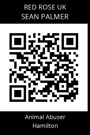 QR code for sean-palmer