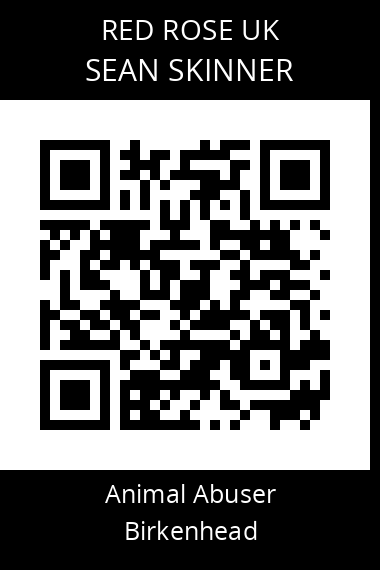 QR code for sean-skinner