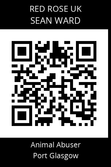 QR code for sean-ward-1