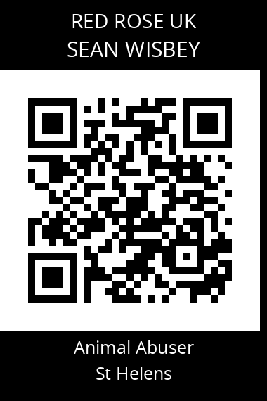 QR code for sean-wisbey