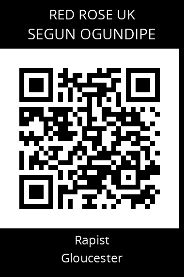 QR code for segun-ogundipe