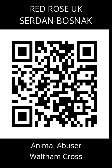 QR code for serdan-bosnak