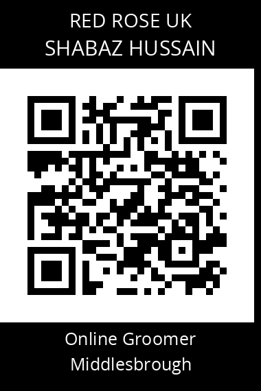 QR code for shabaz-hussain