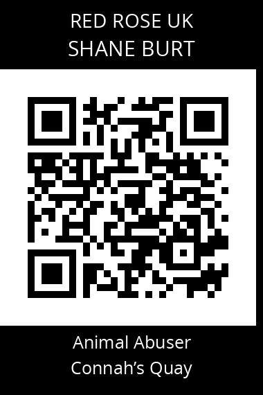 QR code for shane-burt