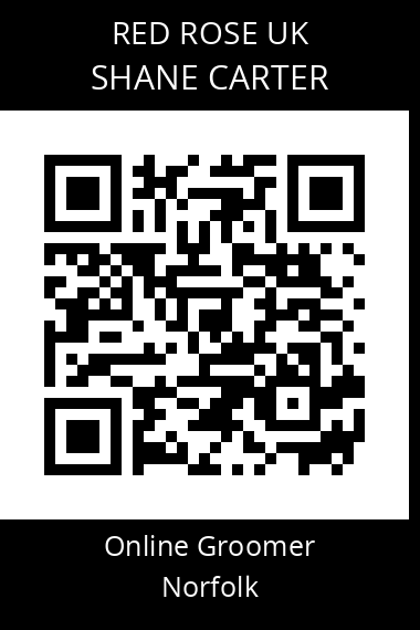 QR code for shane-carter