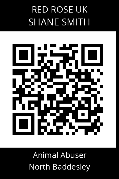 QR code for shane-smith-2