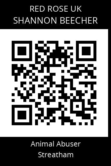 QR code for shannon-beecher