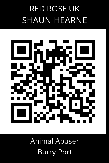 QR code for shaun-hearne