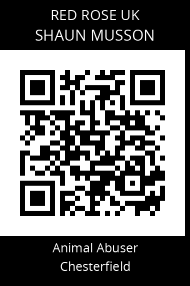 QR code for shaun-musson