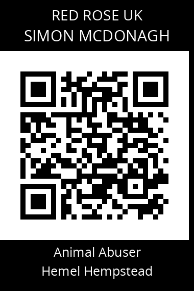 QR code for simon-mcdonagh