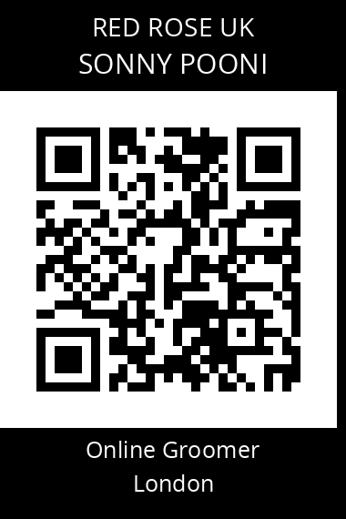 QR code for sonny-pooni