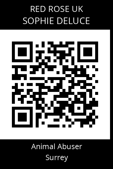 QR code for sophie-deluce