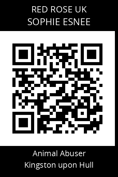QR code for sophie-esnee