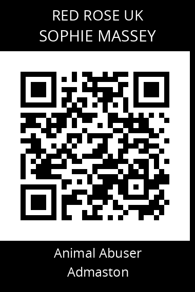 QR code for sophie-massey