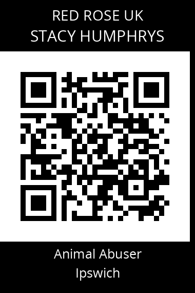 QR code for stacy-humphrys
