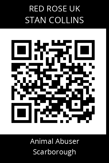 QR code for stan-collins