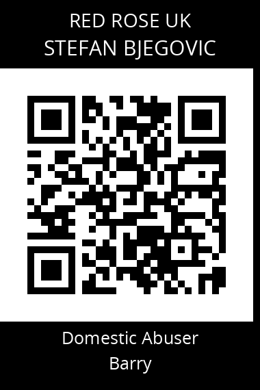 QR code for stefan-bjegovic