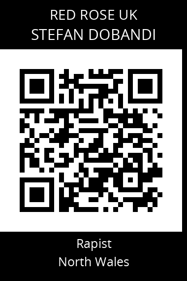 QR code for stefan-dobandi