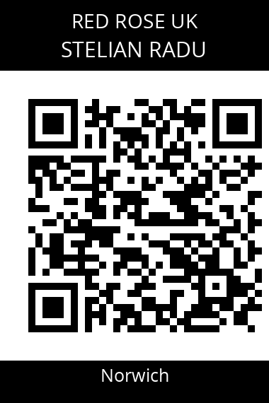 QR code for stelian-radu-4whpyg