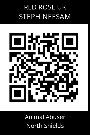 QR code for steph-neesam