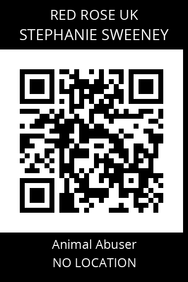 QR code for stephanie-sweeney