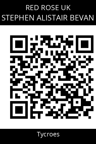 QR code for stephen-alistair-bevan