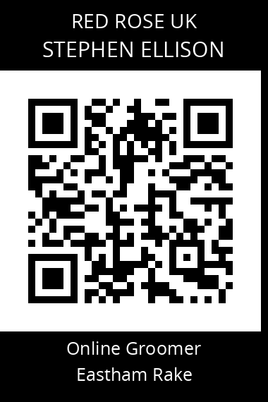 QR code for stephen-ellison