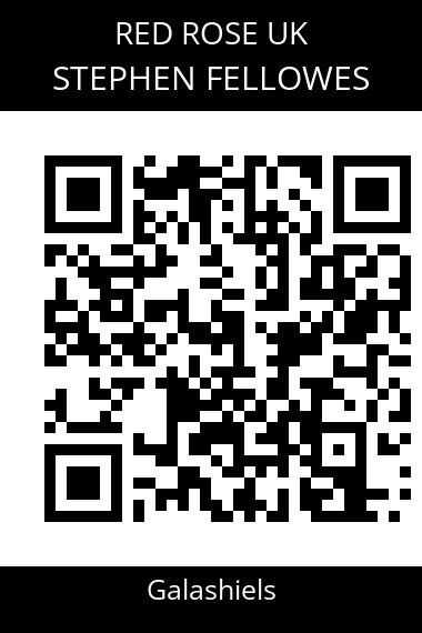 QR code for stephen-fellowes-1