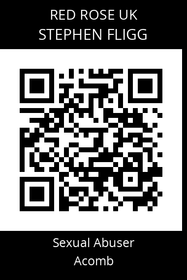 QR code for stephen-fligg