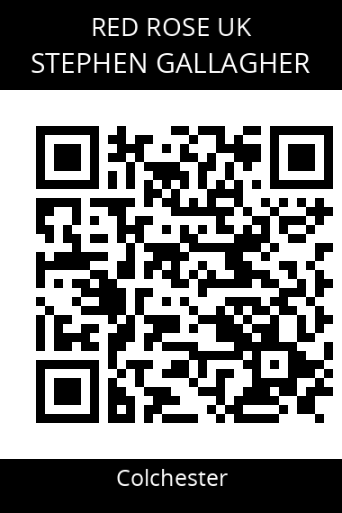 QR code for stephen-gallagher-2