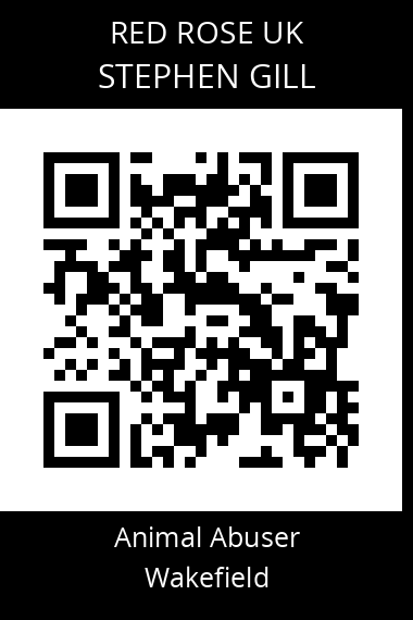QR code for stephen-gill-1
