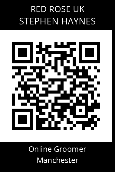 QR code for stephen-haynes