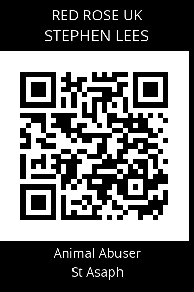 QR code for stephen-lees
