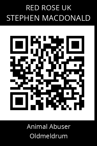 QR code for stephen-macdonald