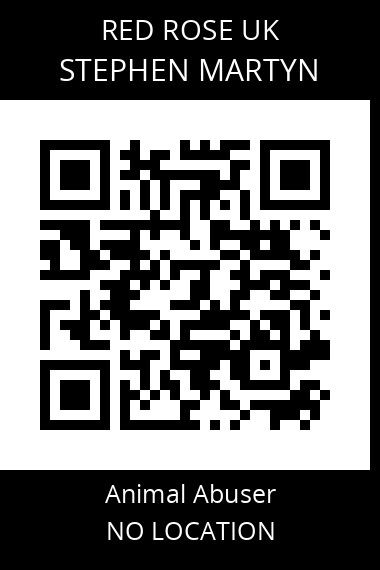 QR code for stephen-martyn