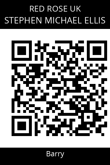 QR code for stephen-michael-ellis