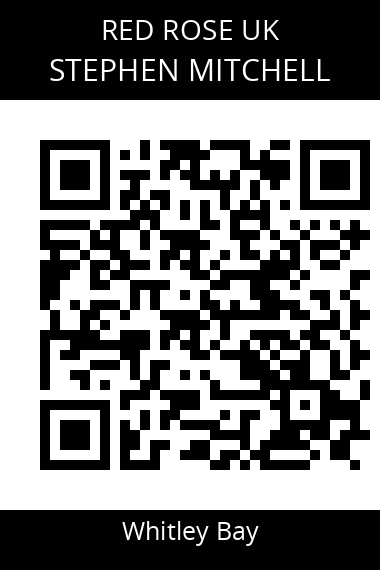 QR code for stephen-mitchell-2