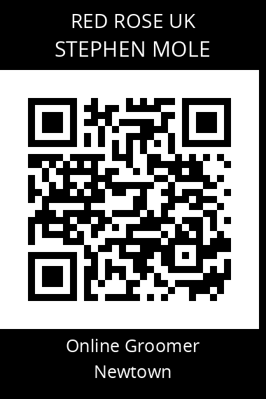 QR code for stephen-mole
