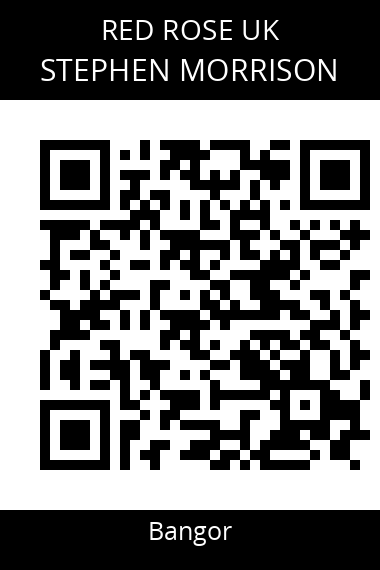 QR code for stephen-morrison-2