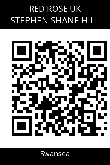 QR code for stephen-shane-hill